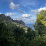 Le Parc National de Gouraya-Bejaïa