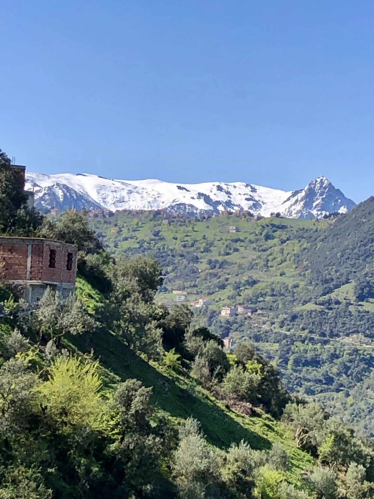 Mon histoire avec l’Algérie, la vue sur le massif du Djurdjura en Kabylie