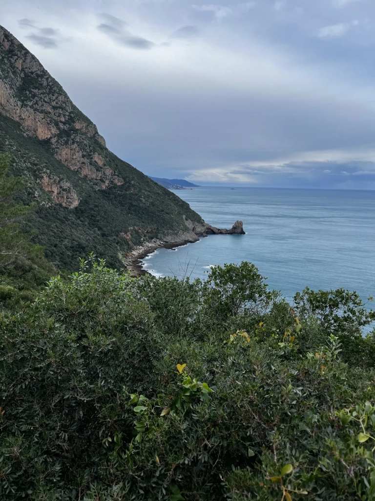 Une vue du Cap Noir de Gouraya