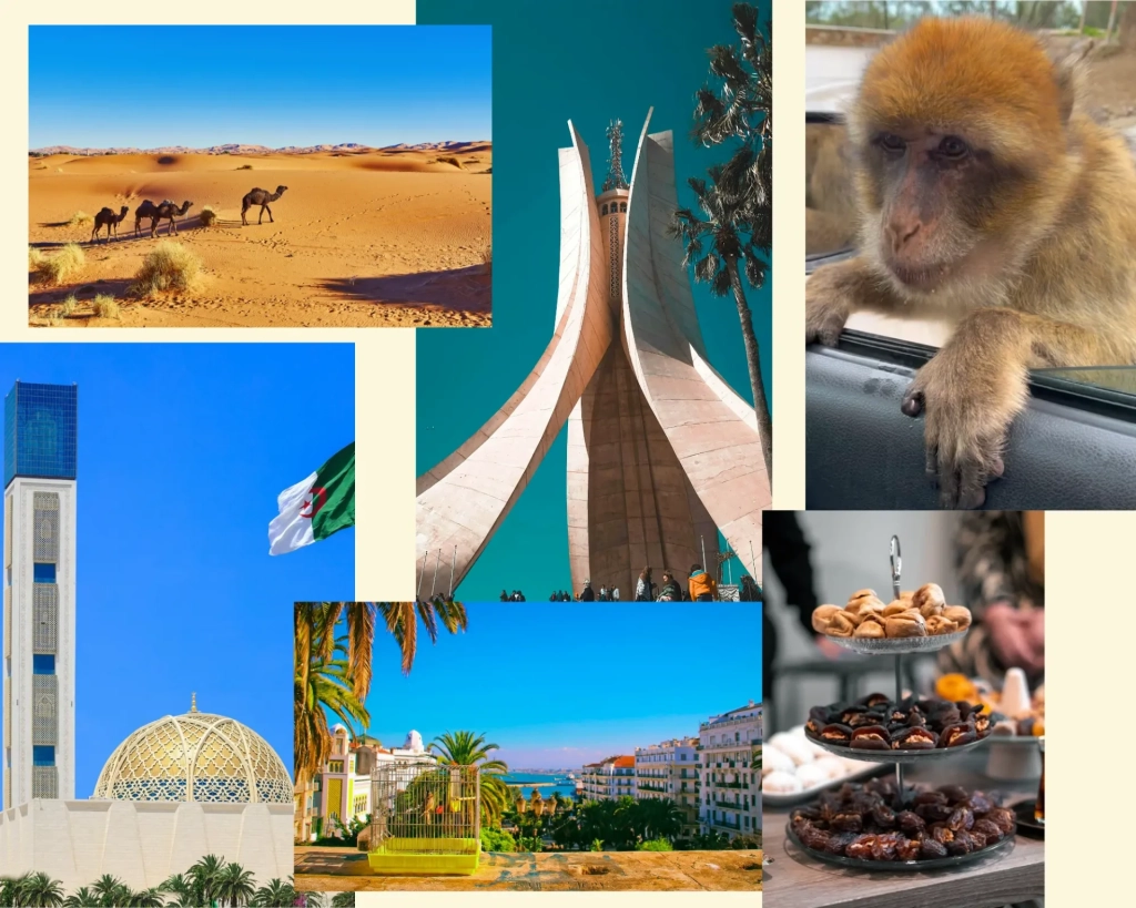 Faune, flore, paysages, aliments emblématiques de l’Algérie. 