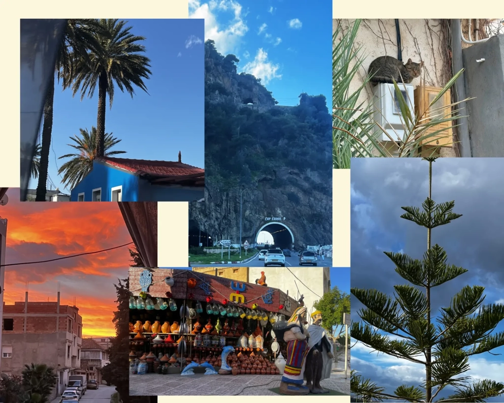 Regards photographiques à propos du blog sur l’Algérie 