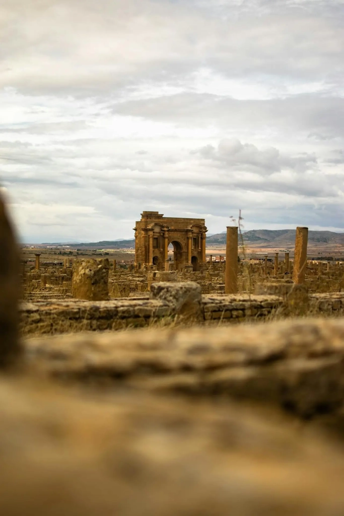 pexels-mohamedelaminemsiouri-4601784